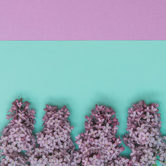 Flat lay stylish set: Lilac flowers on pastel background. Top view.