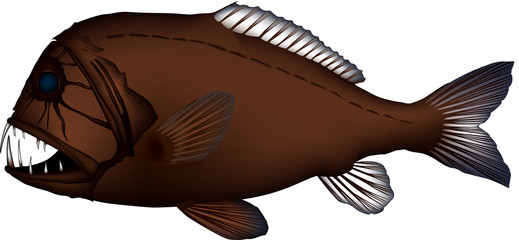 Naklejka premium オニキンメ 魚イラスト ベクター