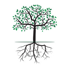 Green tree with roots on white background