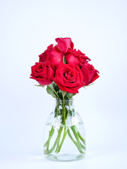 Bouquet red roses flower in glass bottle on isolated background