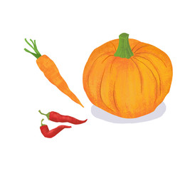 かぼちゃ、にんじん、トウガラシ