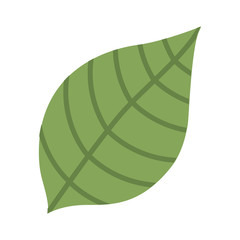 leaf green isolated icon design