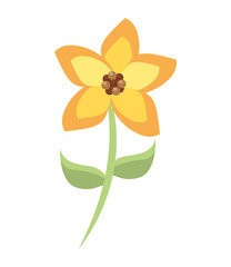 beautiful flower garden isolated icon design