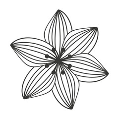 beautiful flower garden isolated icon design