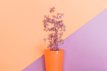 Flat lay set: Lilac flowers poured from a glass on pastel background. Top view.