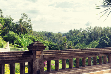 Fototapeta na wymiar view from balcony to tropical woods at hotel