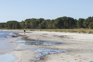 Fototapeta na wymiar Promenerar på sandstrand en solig höstdag