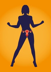 Fototapeta na wymiar Medical infographics. Internal woman reproductive system in a human body