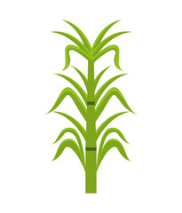 sugar cane  isolated icon design