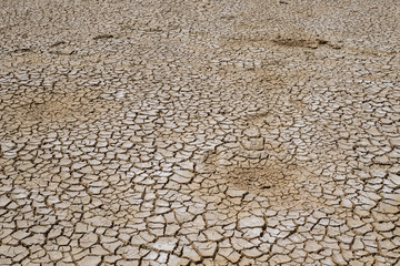 Crack soil on dry season, Global warming / cracked dried mud / D