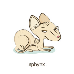 Sphynx. Cat character isolated on white