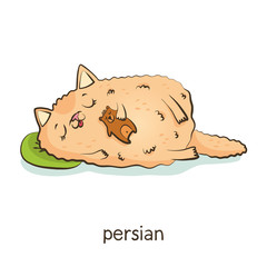 Persian. Cat character isolated on white
