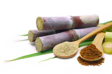 Sugar cane with brown sugar and green leaf on white background.