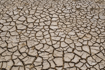 Crack soil on dry season, Global warming / cracked dried mud / D