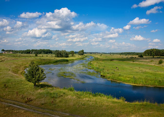 Fototapeta na wymiar summer landscape with a river on background sky