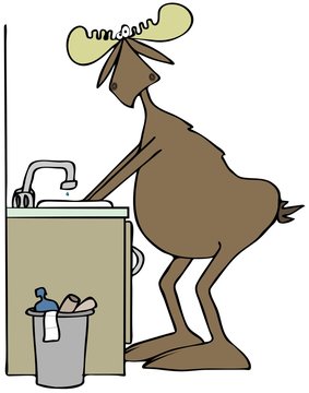 Moose washing his hands in a sink