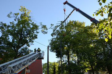 Action firefighters - removing broken tree
