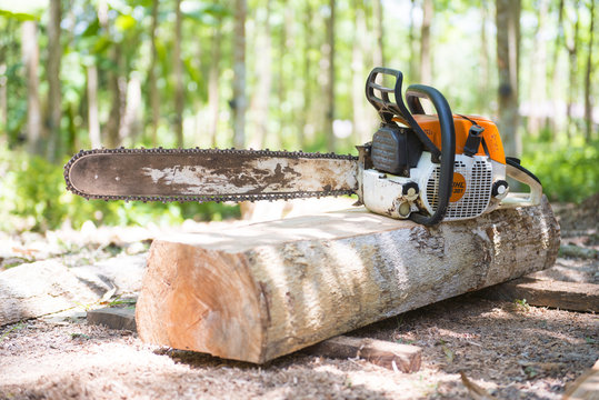 old chainsaw on the stump