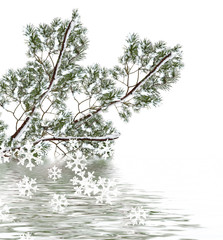  Snow covered trees. fir branch isolated on white background.