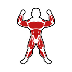 Healthy lifestyle and bodybuilder concept represented by Muscle man icon. Isolated and flat illustration