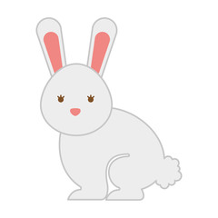cute rabbit isolated icon design