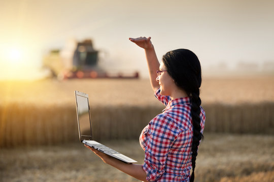 Girl with laptop and combine harvester