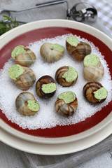 escargots 13072016