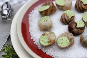 escargots 13072016