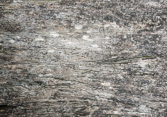 wood texture background