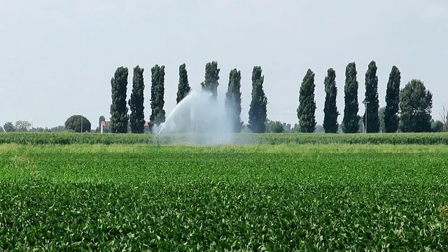 irrigazione campi agricoltura