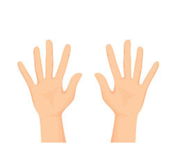 Vector of Open hands isolated on white background