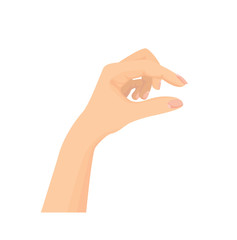 Vector of Open hands isolated on white background