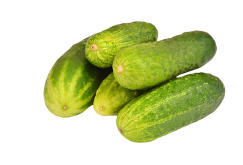 Green cucumber gherkin