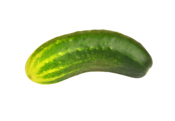 Green cucumber gherkin