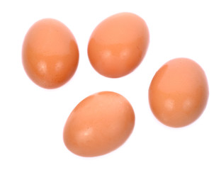 eggs on white background