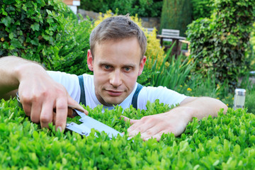 Gärtner schneidet Hecke

