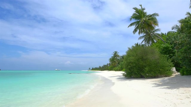 Tranquil white sand beach with palm trees and emerald ocean