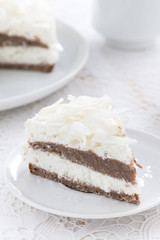 piece of delicious chocolate cake with coconut cream, vertical