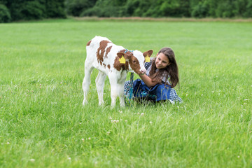 Mädchen streichelt Kuhkälbchen auf einer grünen Weide