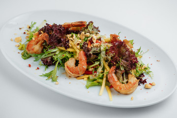 Shrimp salad and greens on a white plate