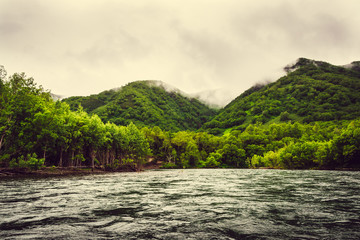 Fototapeta na wymiar Mountain river with green forest on Kamchatka, Russia
