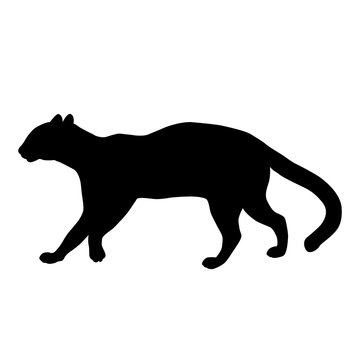 recommend clip art: ocelot adult profile  black silhouette