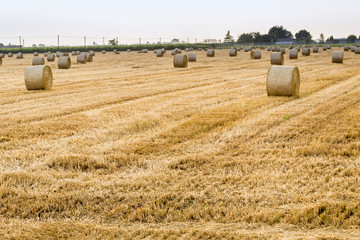 hay bales