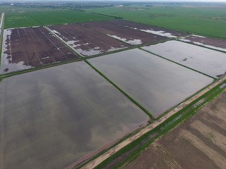 Flooded rice paddies. Agronomic methods of growing rice in the fields. Flooding the fields with water in which rice sown. View from above.