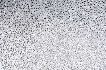 Water droplets on a black background