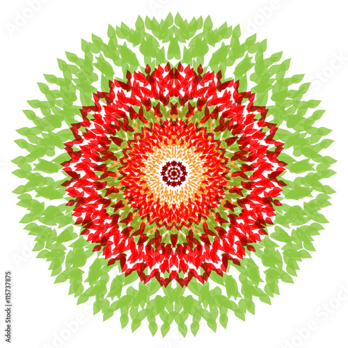 Download "Beautiful vector mandala. Cute illustration with flower ...