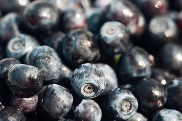 shiny with matte touch of blueberries close-up