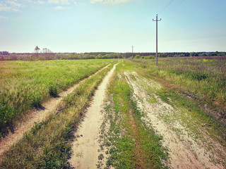 Fototapeta na wymiar Summer landscape with dirt road and meadow