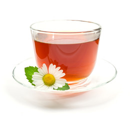 Cup of black tea with chamomile flower