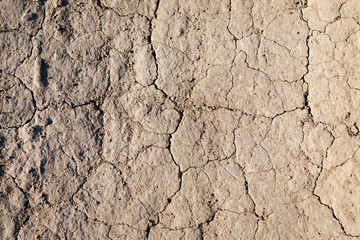 Dry ground texture top view